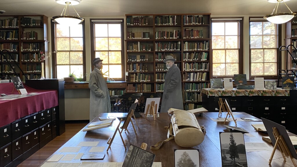 Cut-outs of explorer E.H. Wilson and Founding Director Charles Sprague Sargent in the Arnold Arboretum Archives